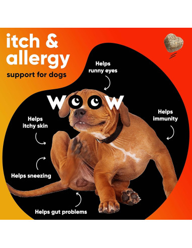 Suplemento Inmunológico para Perros Dr Woow - Alivio Alergias