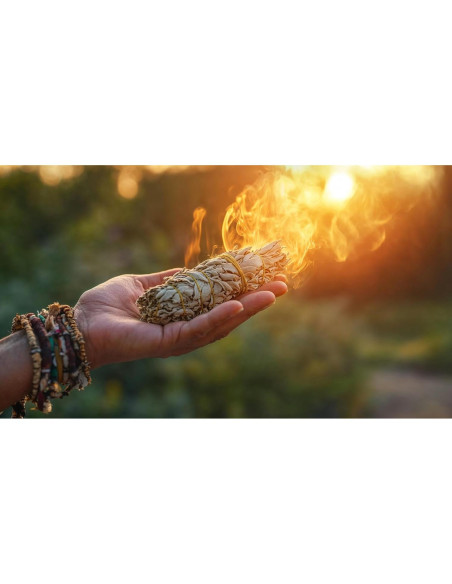 Salvia Orgánica U.S. Wellness 0.45 kg - Té y Condimento