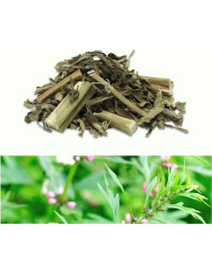 Extracto de Madre Selva Orgánico Puro en Polvo 300g Goodlife 2