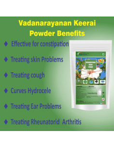 Polvo de Espinaca Natural Neotea Vadhanarayanan 300g - Rico en Nutrientes 2