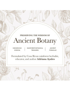 Polvo de Hoja de Moringa Orgánica Anima Mundi 170g - Superalimento 2