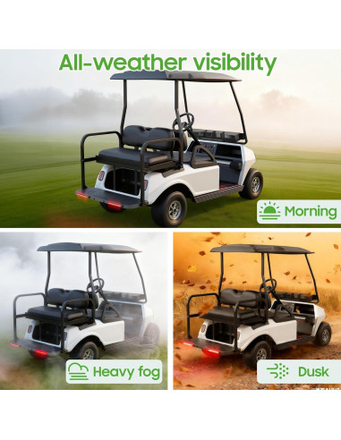 Luces Traseras Universales 10L0L Y68-H para Carritos de Golf 12V