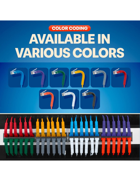 Cables de Parcheo Ethernet Cat6a Everest 0.61m Paquete de 10