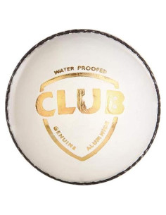 Pelota de Cricket SG Club Juvenil de Cuero Blanca 134g