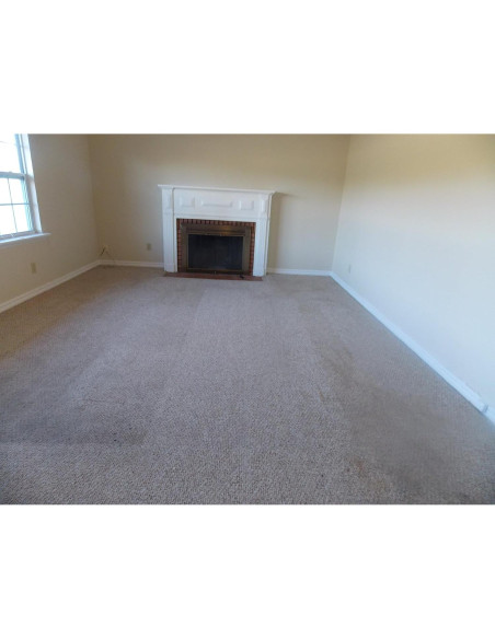 Champú Concentrado Happy Carpet 946 ml - Elimina Manchas y Olores