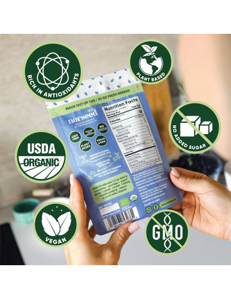 Polvo de Arándano Azul Orgánico Norseed 100g Liofilizado