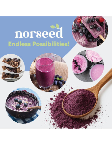 Polvo de Arándano Azul Orgánico Norseed 100g Liofilizado