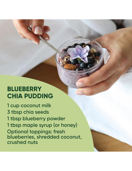 Polvo de Arándano Azul Orgánico Norseed 100g Liofilizado