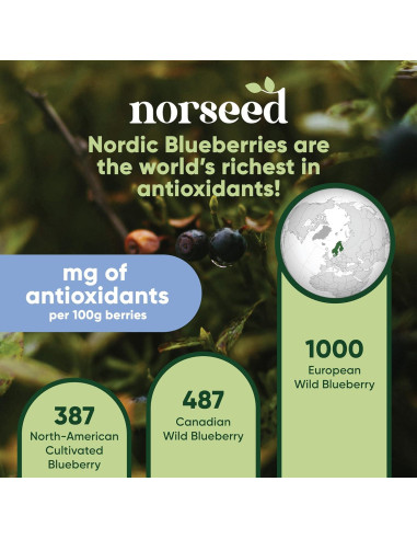 Polvo de Arándano Azul Orgánico Norseed 100g Liofilizado