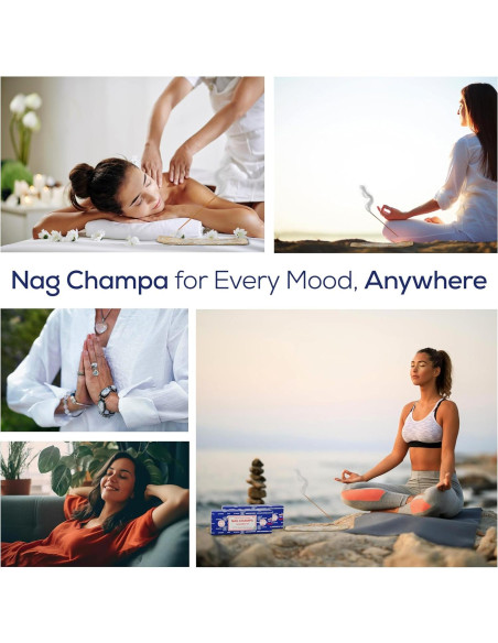 Incienso Natural Satya Nagchampa 500 g con Soporte Raajsee