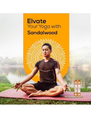 Incienso Natural Satya Sándalo 180g con Soporte Raajsee