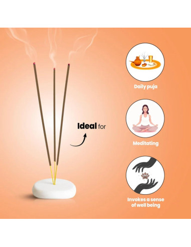 Juego de Incienso Premium Hashcart - 6 Fragancias Naturales