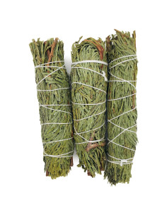 Varitas de Incienso de Cedro Alternative Imagination - 3 Unidades 10 cm