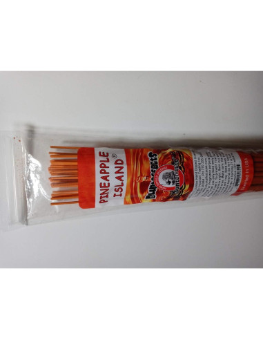 Palos de Incienso Jumbo Blunteffects Piña 30 Unidades 48 cm