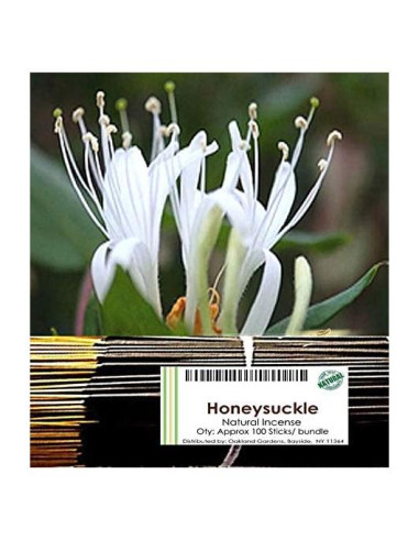 Incienso Premium Madreselva Oakland Gardens - 100 Varitas