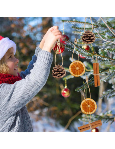40 Adornos Naturales para Árbol de Navidad SOVOEY - Frutas Secas