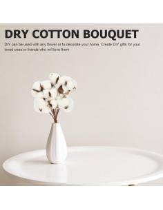 Ramo de Algodón Seco Artificial Abaodam - 10 Ramas 28x6cm 2