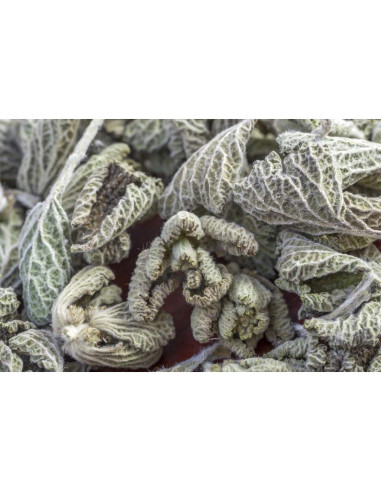 Té Herbal de Horehound Negro Health Embassy 100g - Ballota Nigra