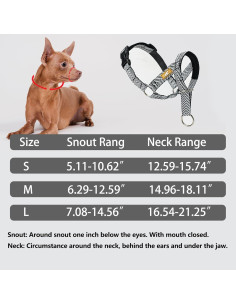 Collar de Cabeza para Perros Wintchuk L Negro Acolchado Ajustable 2