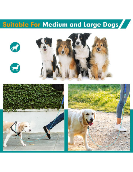 Correa para Perros Libbipaw 1.83m Resistente a Mordeduras Azul