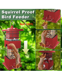 Comedero para Aves YLTIMER 1.36kg A Prueba de Ardillas Rojo 2