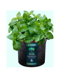 Bolsa de Crecimiento Flora 5 Galones Tela No Tejida 20L