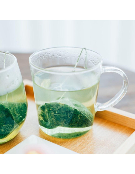 Juego de Tazas de Vidrio Hario Recto 300ml 2pcs