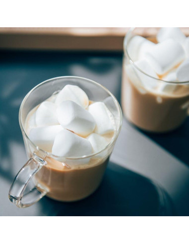 Juego de Tazas de Vidrio Hario Recto 300ml 2pcs