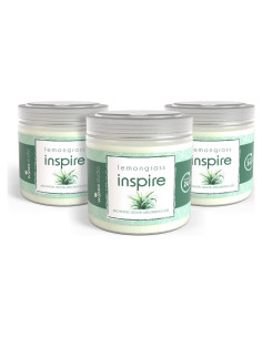 Wipex Gel Eliminador de Olores 3pk - Hierba Limón 425g