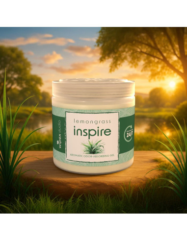 Wipex Gel Eliminador de Olores 3pk - Hierba Limón 425g