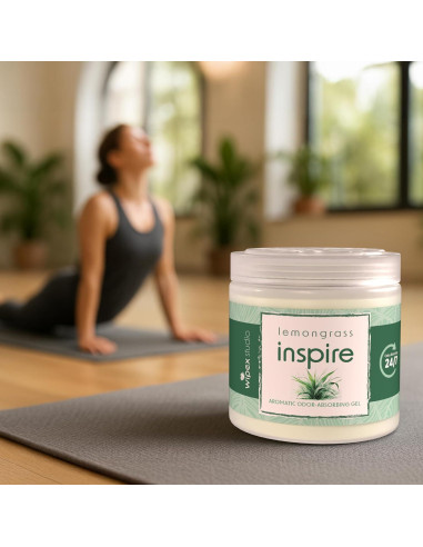 Wipex Gel Eliminador de Olores 3pk - Hierba Limón 425g