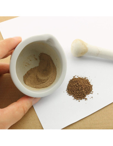 Mini Mortero y Mano de Porcelana Ruiwaer 60ml Blanco