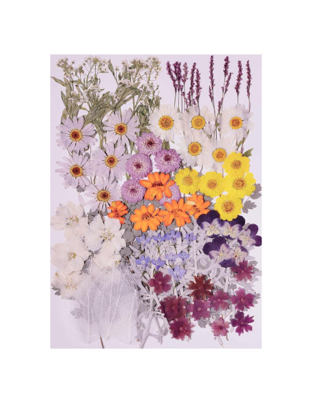 100 Flores Secas Prensadas Naturales AHTONG para Manualidades