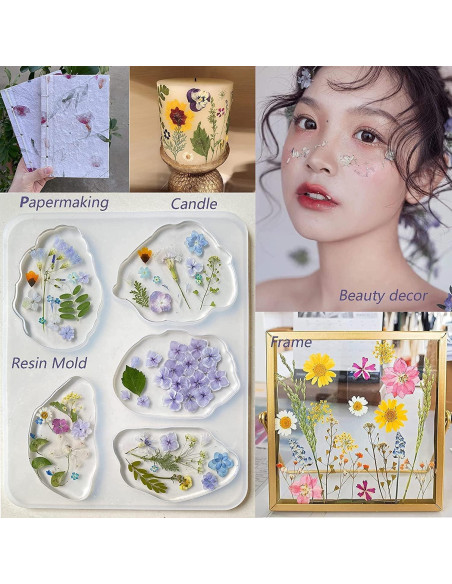 100 Flores Secas Prensadas Naturales AHTONG para Manualidades