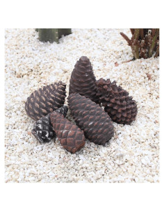 Troncos de Chimenea de Gas Heyfurni - 6 Piezas Cerámica Piña