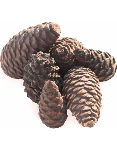 Troncos de Chimenea de Gas Heyfurni - 6 Piezas Cerámica Piña