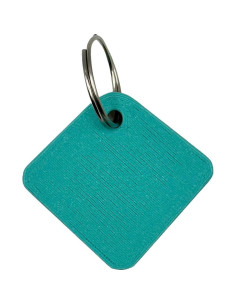 Etiqueta de Collar de Perro Scooby-Doo 4.57cm - CTWPets 2