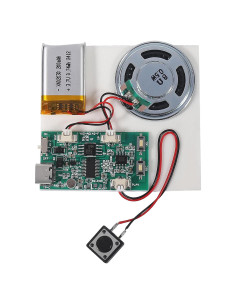 Módulo de Sonido UMLIFE 16MB con Altavoz y USB Tipo-C