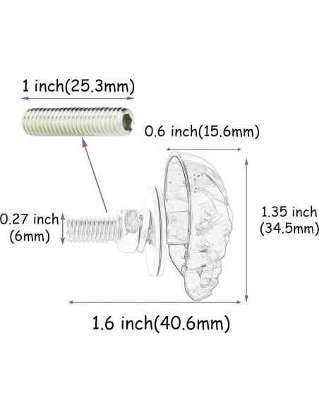 Tornillos Antirrobo para Placa de Licencia Temzzer 4 PCS Negro