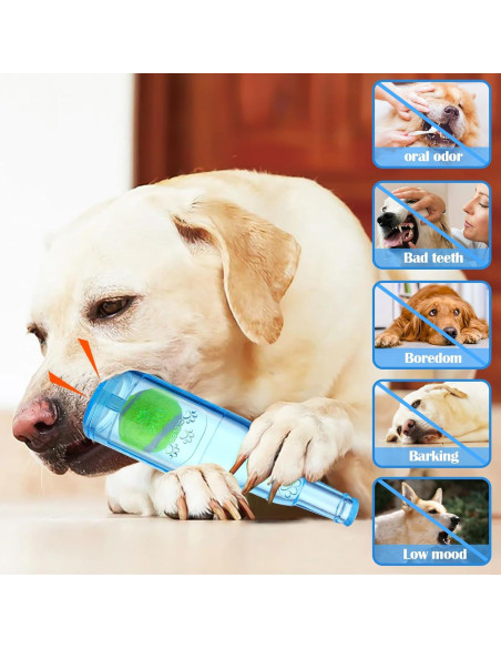Juguete Interactivo para Perros Mity rain Botella Azul 14cm