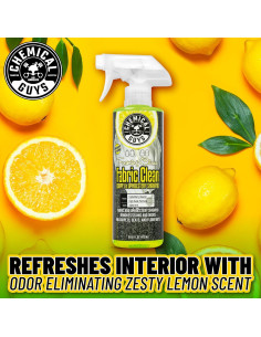 Limpiador de Tela Espumoso Chemical Guys CWS21916 1.1kg 2