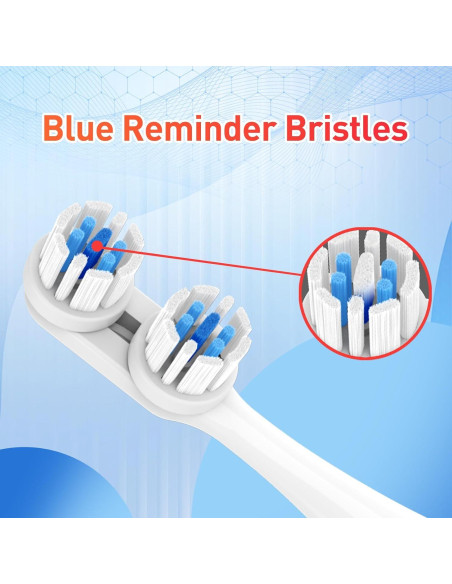 Cabezas de cepillo de dientes Spinbrush Pro Clean/Whiten - 8 Piezas