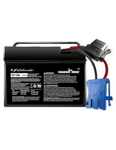 Batería recargable 12V Schumacher TB4 para juguetes Peg Perego