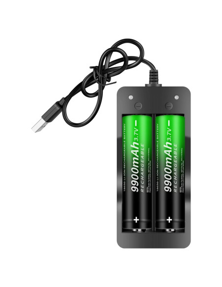 Cargador de Batería Recargable 18650 Foshanshi - 2 Bahías