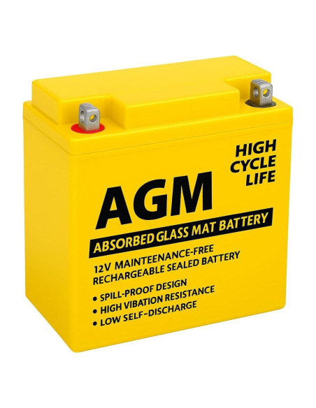 Batería AGM 12V 100Ah MM-H9 Grupo 95R Reemplazo BMW X6