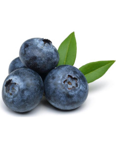 Extracto de Sabor a Mora OliveNation 453.6g - Sin Gluten, Vegano 2