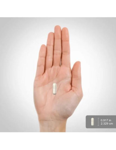 Cetonas de Frambuesa Piping Rock 500mg - 160 Cápsulas Sin OGM