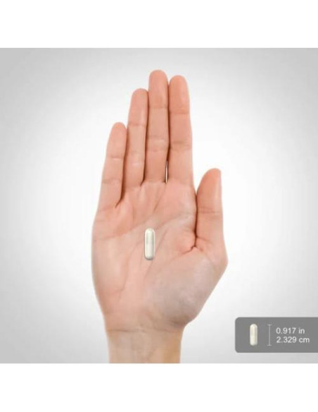 Cetonas de Frambuesa Piping Rock 500mg - 160 Cápsulas Sin OGM