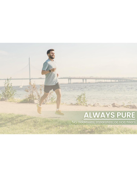 Cápsulas de Gymnema Sylvestre 100% Puras - 100 Unidades