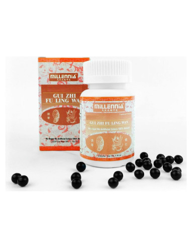 Gui Zhi Fu Ling Wan - 12 Botellas de 200 Pastillas
